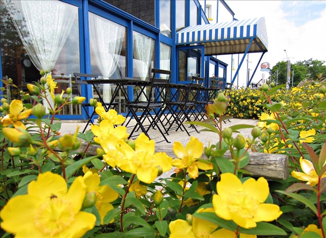 Image de l'hôtel